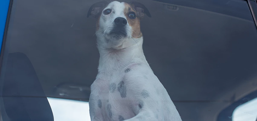 Car Lockout Solutions in Corte Madera, California